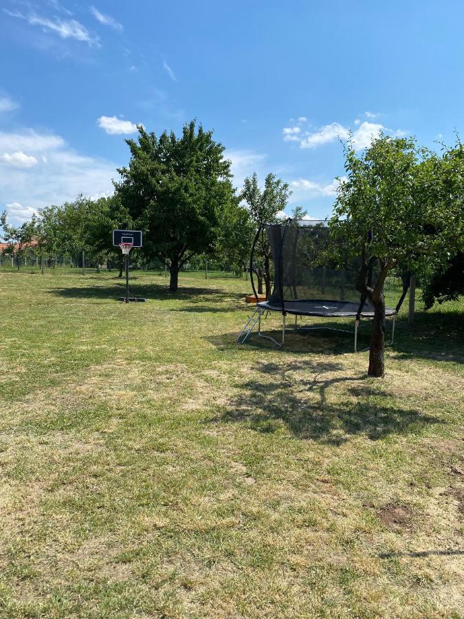 Tisza-i Tiszafüred